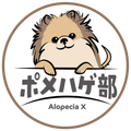 ポメハゲ部